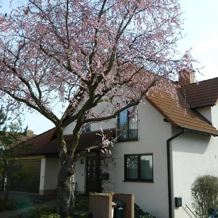 Ferienwohnung Kiko *